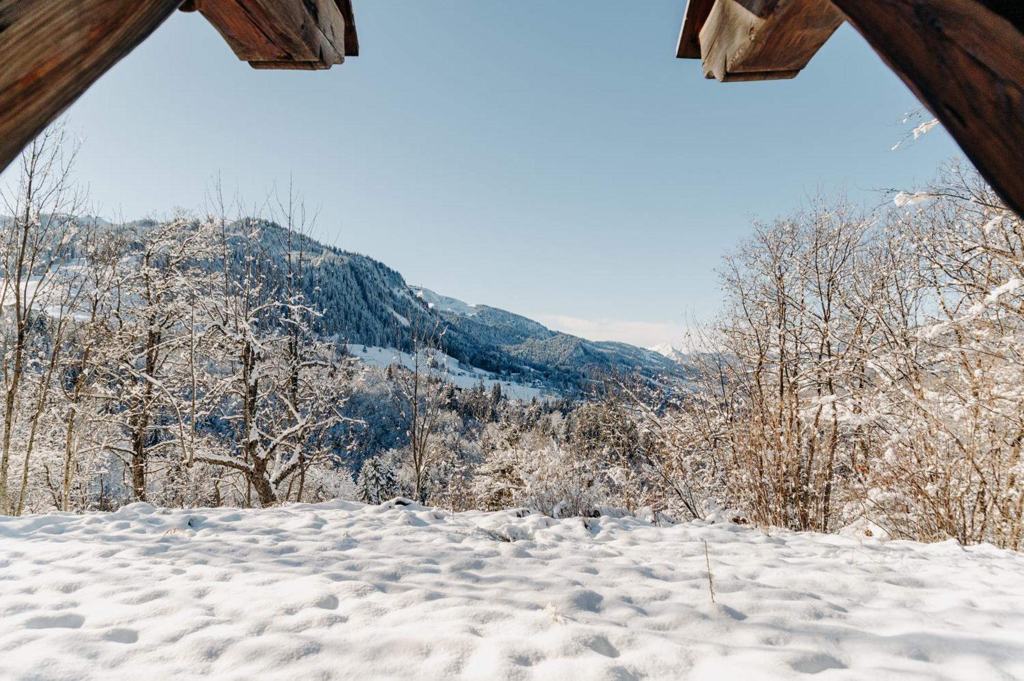 Les Chalets Du Mont D'Arbois & Spa, מגב מראה חיצוני תמונה