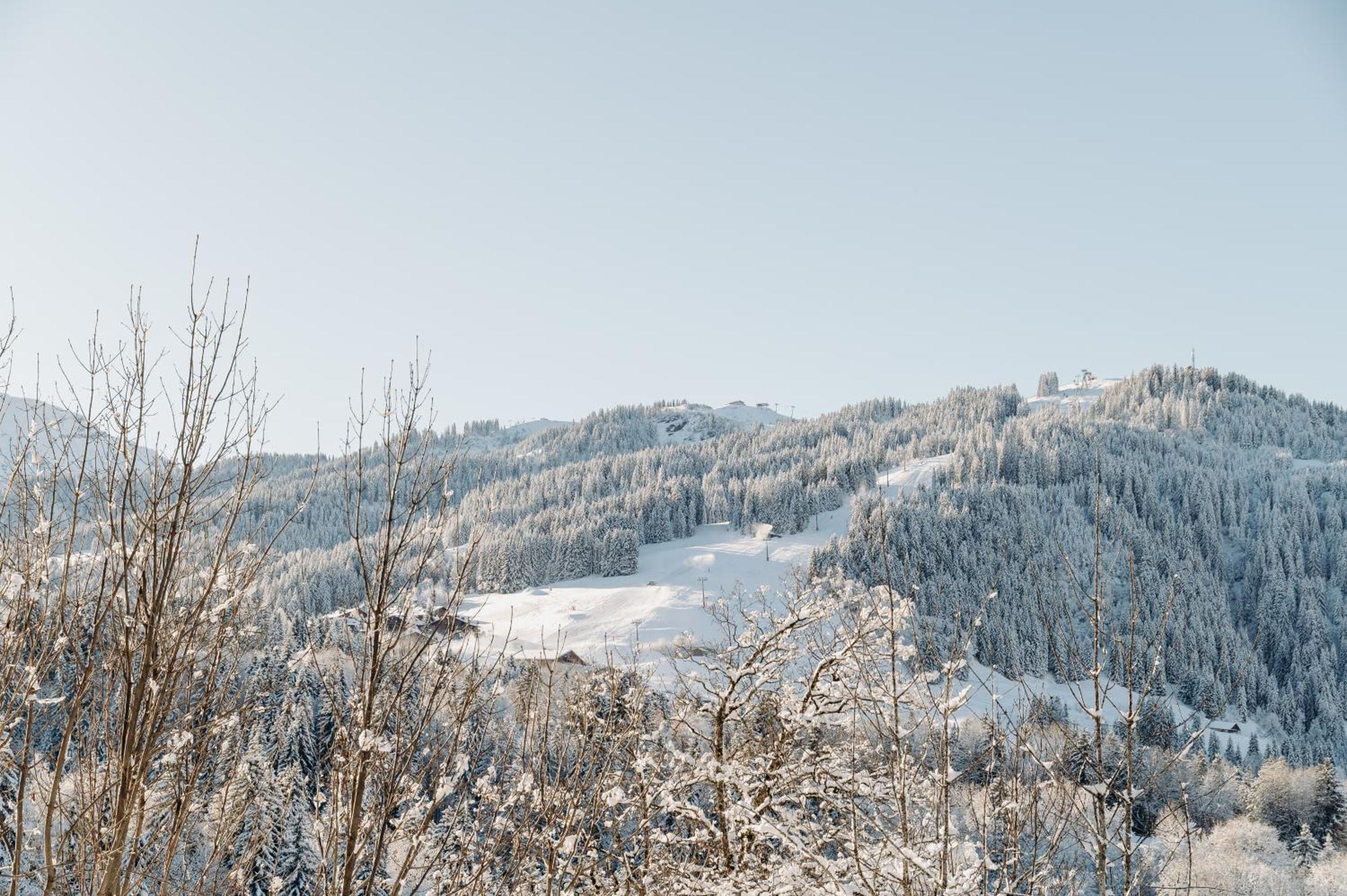 Les Chalets Du Mont D'Arbois & Spa, מגב מראה חיצוני תמונה